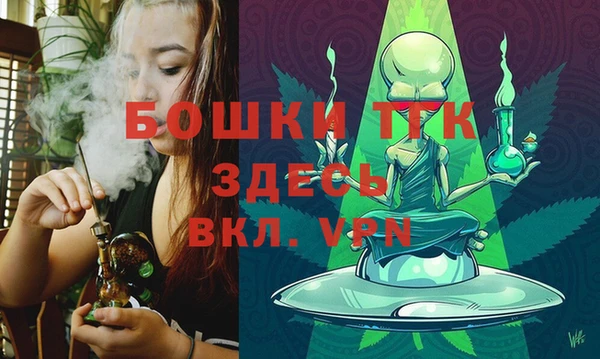 гидра Бронницы