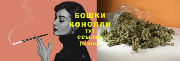 гидра Бронницы