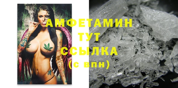 гидра Бронницы