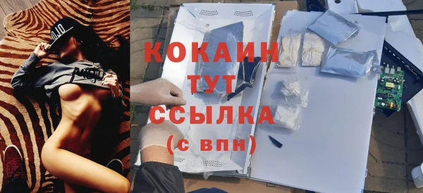 гидра Бронницы
