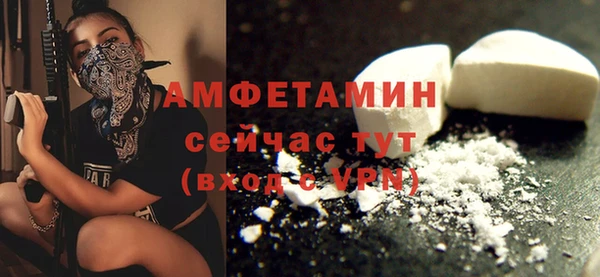 гидра Бронницы
