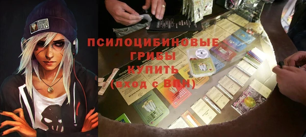 гидра Бронницы