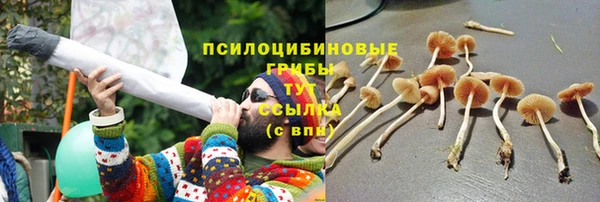 гидра Бронницы