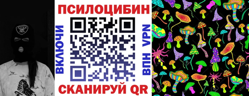 Купить  Сим  Псилоцибиновые грибы Magic Shrooms 